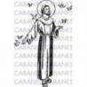 SANTO FRANCISCO ASIS