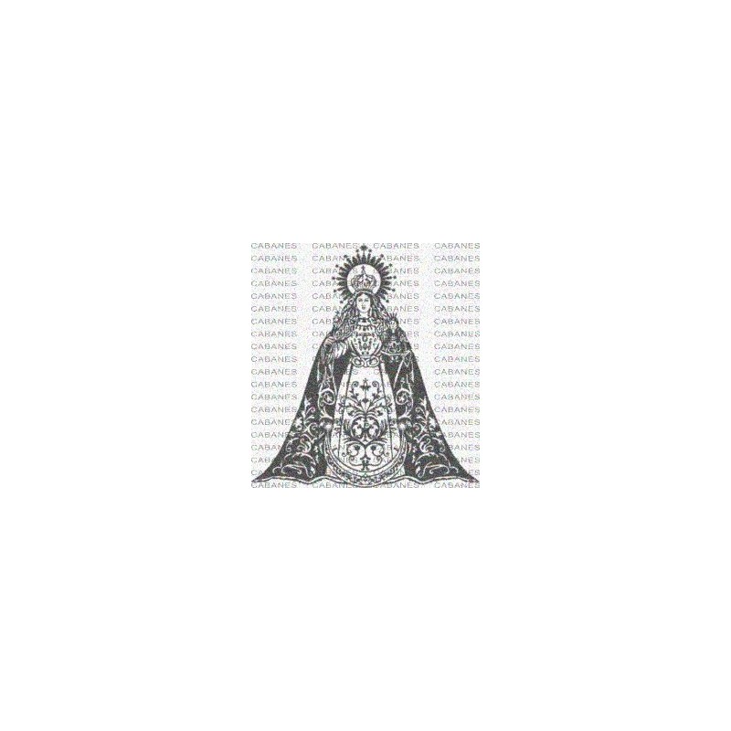 VIRGEN PAZ BEAS SEGURA