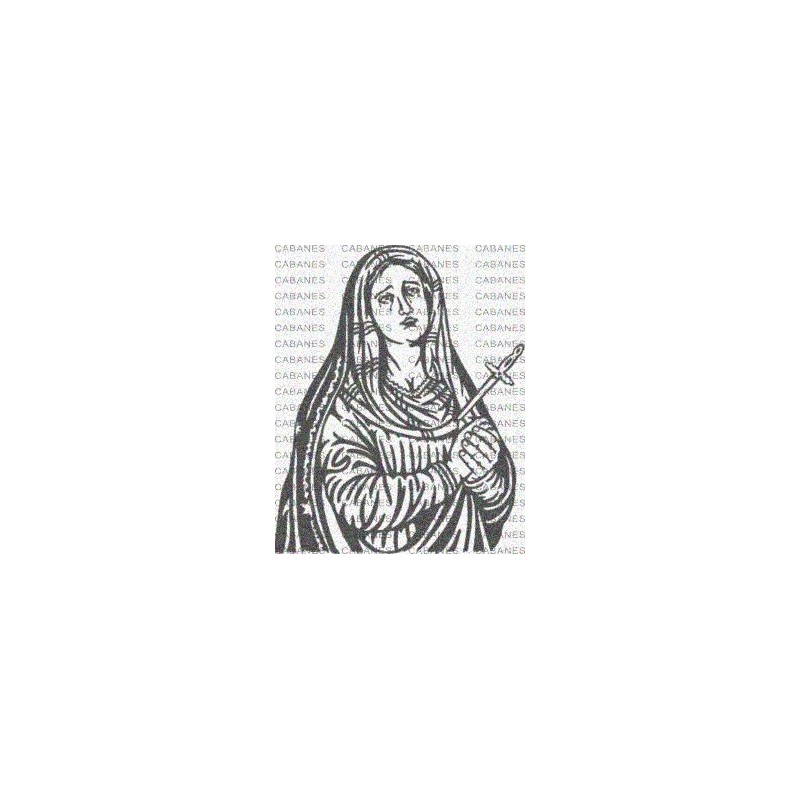 VIRGEN RIO HUERCAL OVERA