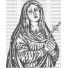 VIRGEN RIO HUERCAL OVERA