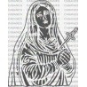 VIRGEN RIO HUERCAL OVERA