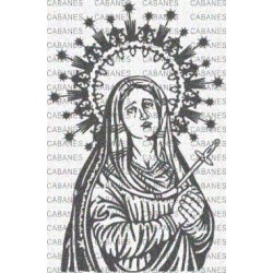 VIRGEN RIO HUERCAL OVERA