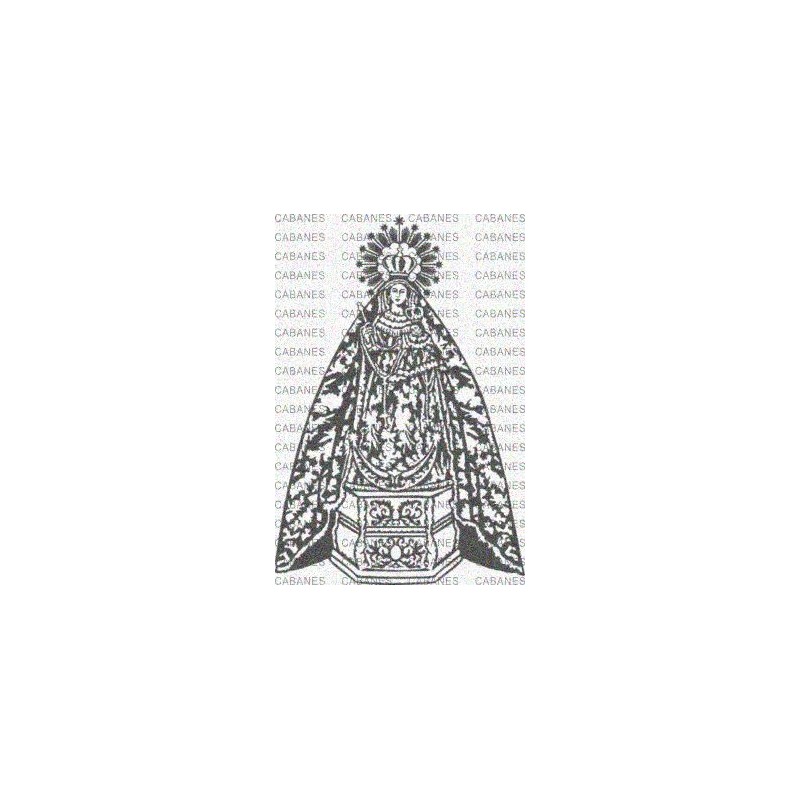 VIRGEN ROSARIO CASTIL CAMPO