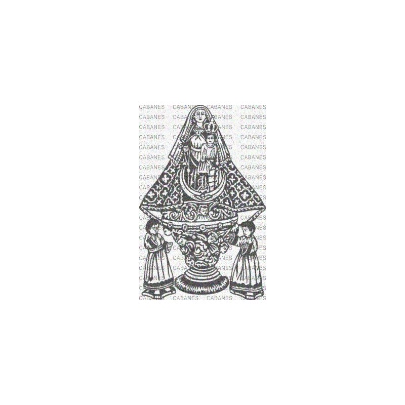 VIRGEN SALUD GUADALAJARA