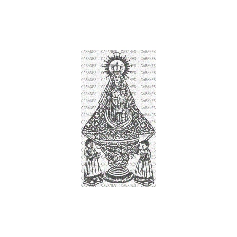 VIRGEN SALUD GUADALAJARA