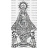 VIRGEN SALUD GUADALAJARA