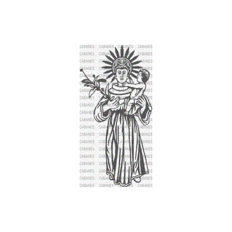 SANTO ANTONIO PADUA SANTIVAÑEZ