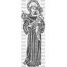 SANTO ANTONIO PADUA JARAIZ VERA