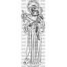 SANTO ANTONIO PADUA JARAIZ VERA