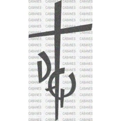CRUZ D Q