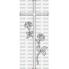 CRUZ ROSAS