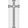 CRUZ