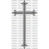 CRUZ
