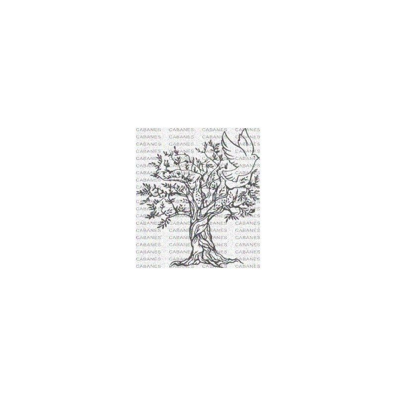 ARBOL OLIVO PALOMA