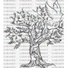 ARBOL OLIVO PALOMA
