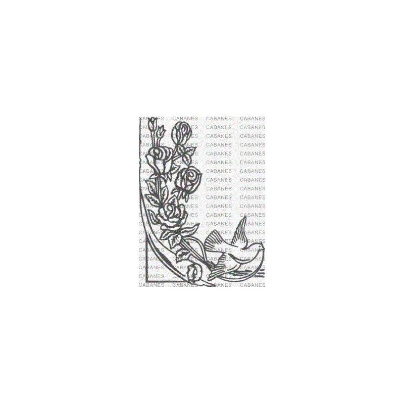 PALOMA PERGAMINO ROSAS