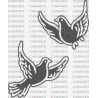 PALOMAS