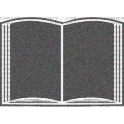 LIBRO ABIERTO