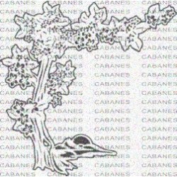 ARBOL FLORES SOL