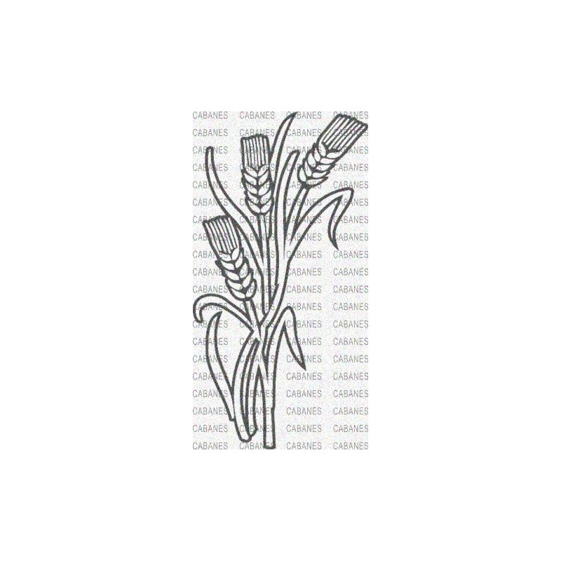 ESPIGAS