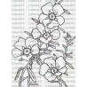 FLOR JARA