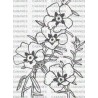 FLOR JARA