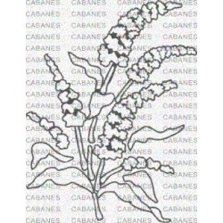 FLOR LILAS