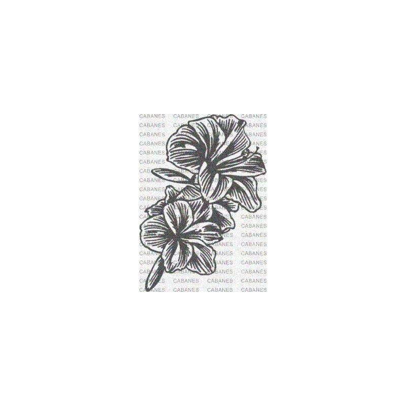 FLOR LIRIO