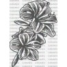 FLOR LIRIO