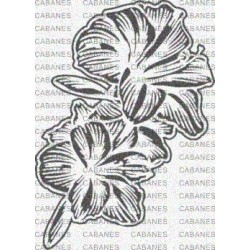 FLOR LIRIO