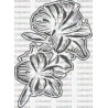 FLOR LIRIO