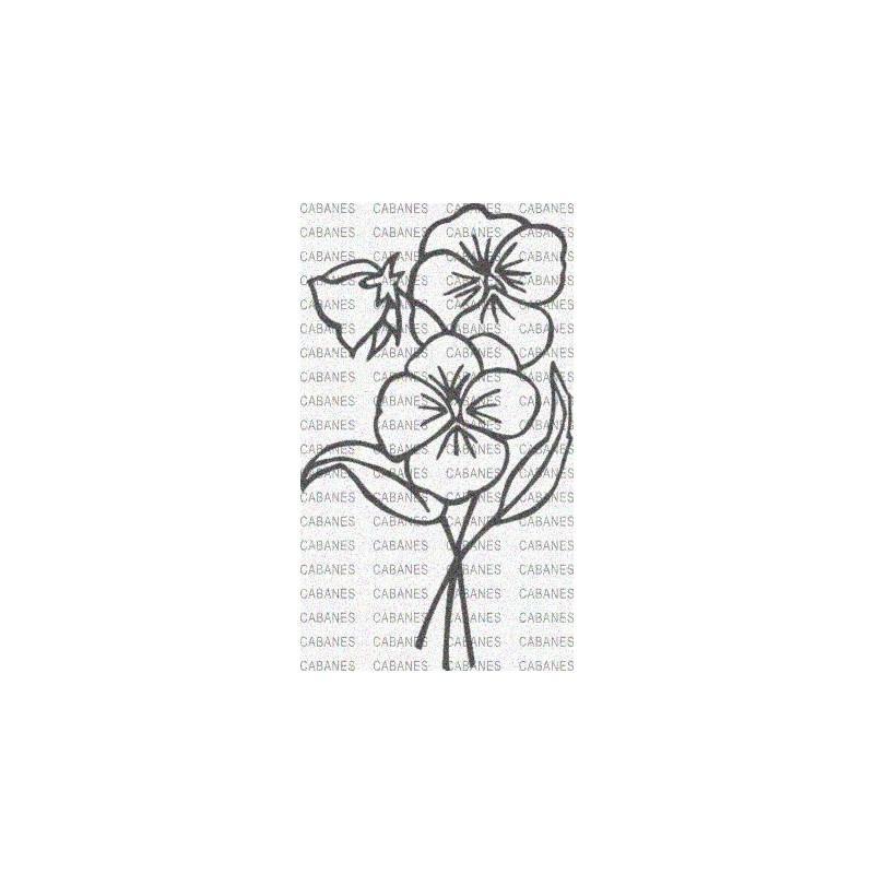 FLOR PENSAMIENTO