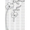 FLOR ORQUIDEA