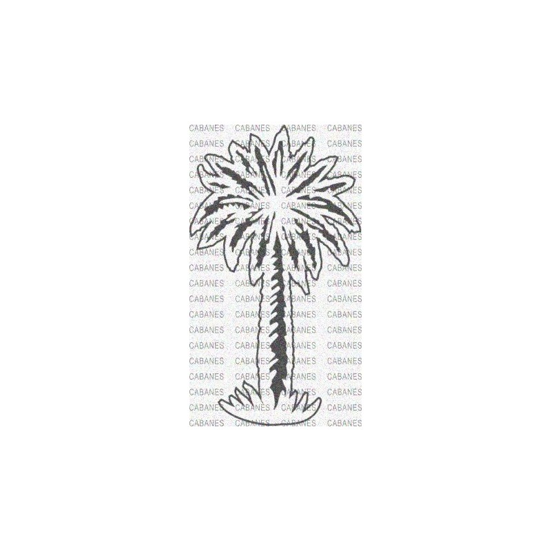 PALMERA