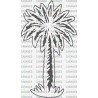 PALMERA