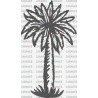 PALMERA