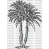 PALMERAS