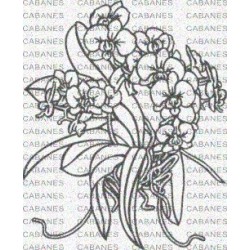 PLANTA ORQUIDEA