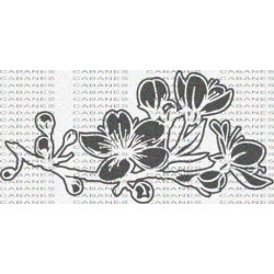 FLOR ALMENDRO