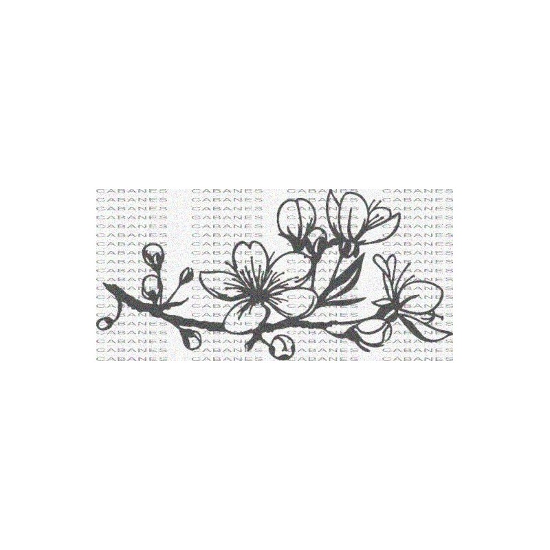 FLOR ALMENDRO