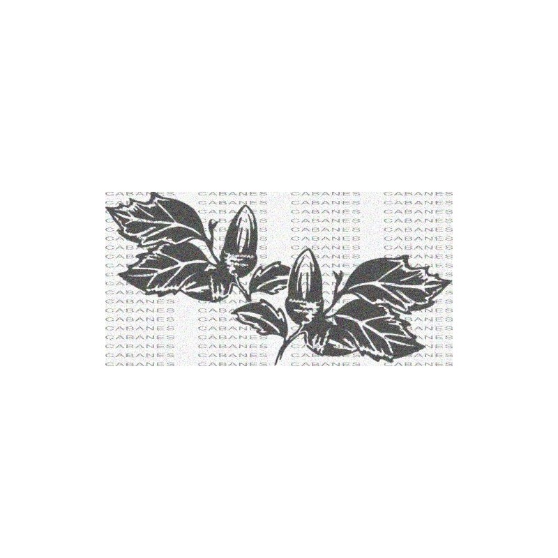 HOJA ROBLE BELLOTA