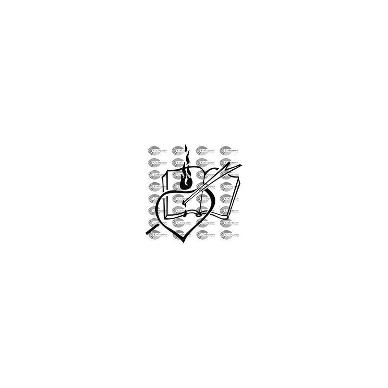CORAZON LIBRO