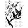 PAJAROS ALMENDRO