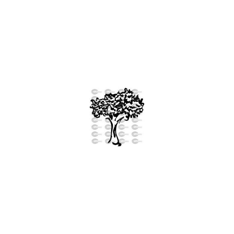 ARBOL