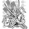 ESPIGAS UVA