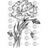 FLOR CLAVEL