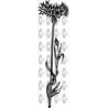 FLOR CLAVELINA