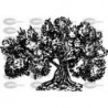 ARBOL OLIVO
