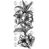 FLOR ALMENDRO
