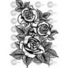 ROSAS